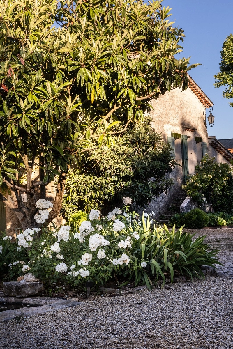 Presentation Image 3